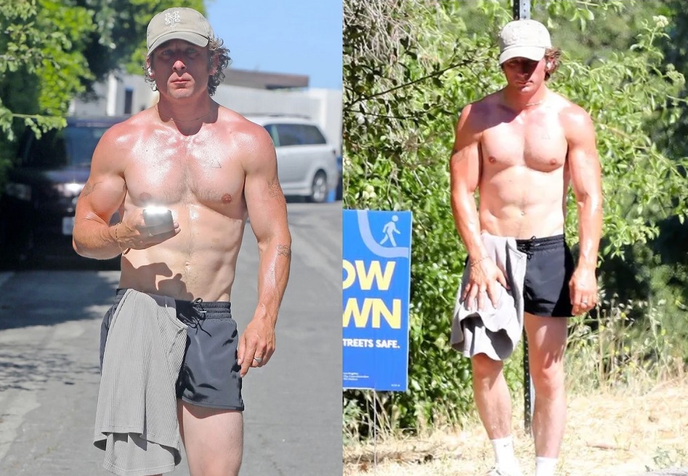 Jeremy Allen White Weight Understanding His Transformation And Fitness