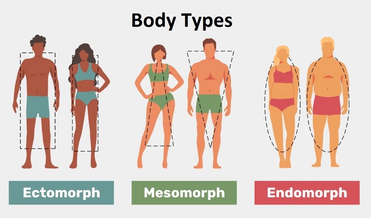 body-shape-type-calculator-verywell-shape